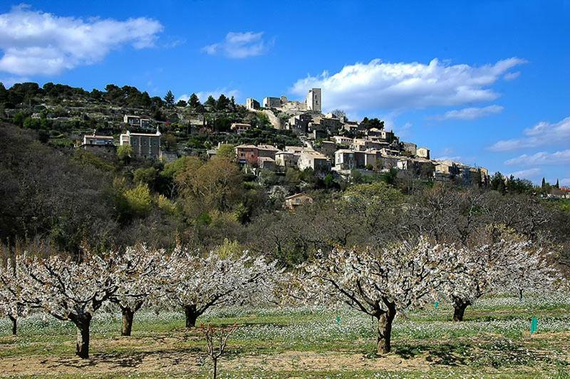 Des Taillades *